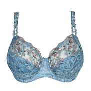 No body pictures | Primadonna