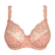 No body pictures | Primadonna