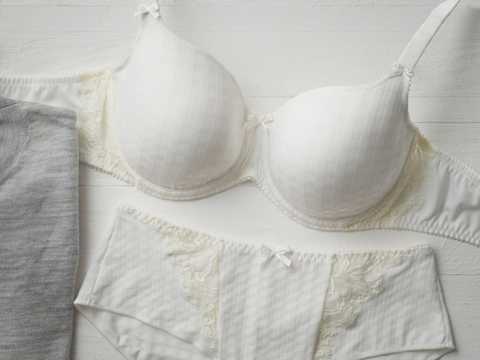 Catalog | Primadonna