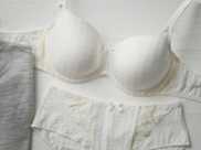 Catalog | Primadonna