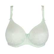 No body pictures | Primadonna