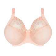 No body pictures | Primadonna