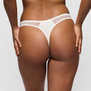 Packshot | Primadonna