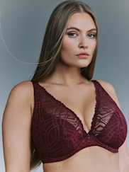 Catalog | Primadonna