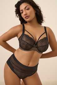 Catalog | Primadonna