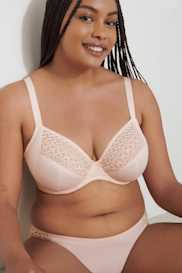 Catalog | Primadonna