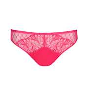 No body pictures | Primadonna