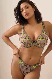 Catalog | Primadonna