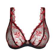 No body pictures | Primadonna