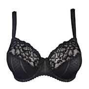 No body pictures | Primadonna