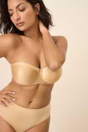 Catalog | Primadonna