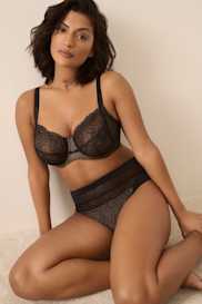 Catalog | Primadonna