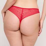 Packshot | Primadonna