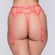 Packshot | Primadonna