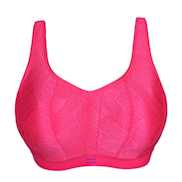 No body pictures | Primadonna