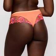 Packshot | Primadonna