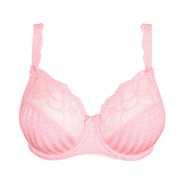 No body pictures | Primadonna