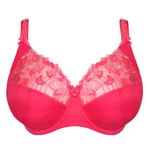 No body pictures | Primadonna