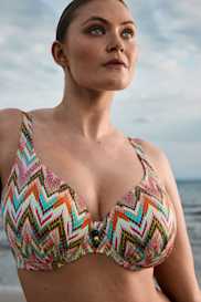 Catalog | Primadonna