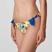 Packshot | Primadonna