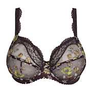 No body pictures | Primadonna