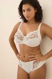 Catalog | Primadonna