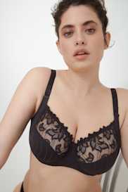 Catalog | Primadonna