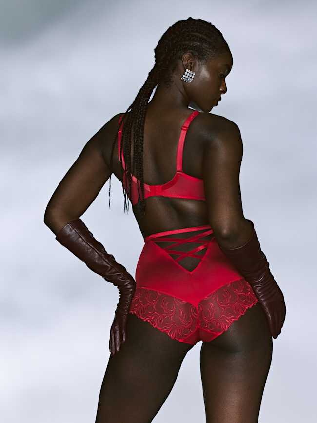 plunge bra
