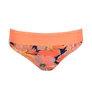 No body pictures | Primadonna