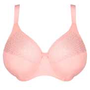 No body pictures | Primadonna