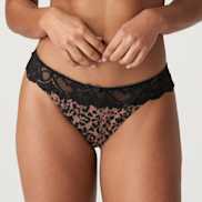 Packshot | Primadonna