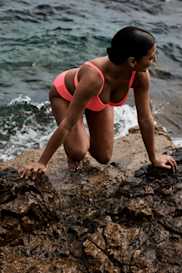 Catalog | Primadonna