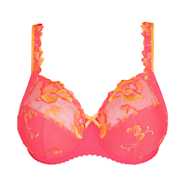 No body pictures | Primadonna