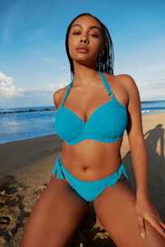 Catalog | Primadonna