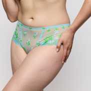 Packshot | Primadonna