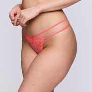 Packshot | Primadonna