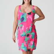 Packshot | Primadonna