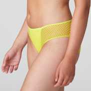 Packshot | Primadonna