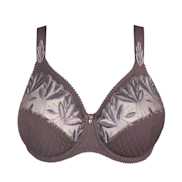 No body pictures | Primadonna