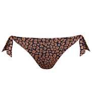 No body pictures | Primadonna