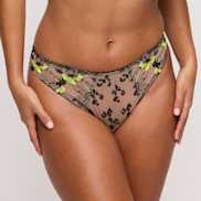 Packshot | Primadonna