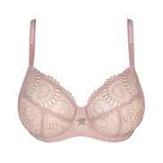 No body pictures | Primadonna