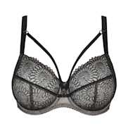 No body pictures | Primadonna