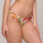 Packshot | Primadonna