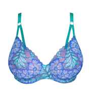 No body pictures | Primadonna