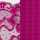 wild rose | Primadonna