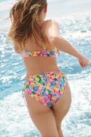 Catalog | Primadonna