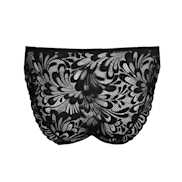 No body pictures | Primadonna