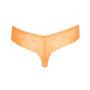 No body pictures | Primadonna