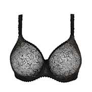 No body pictures | Primadonna